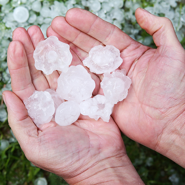 Approved Contractors show large pieces of hail that damaged a home’s roof in PA after a storm